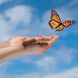 Zoom Workshop March 20, 2027 - Gratitude