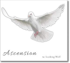 "Ascension" Album - Digital Download Album